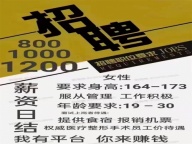 上海夜场招聘永银国际KTV夜总会招聘夜场招聘模特